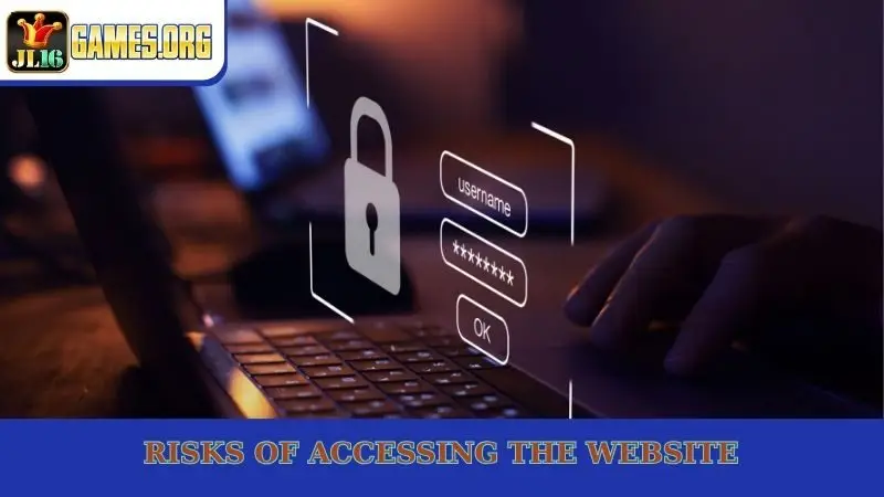 Risks of accessing the website